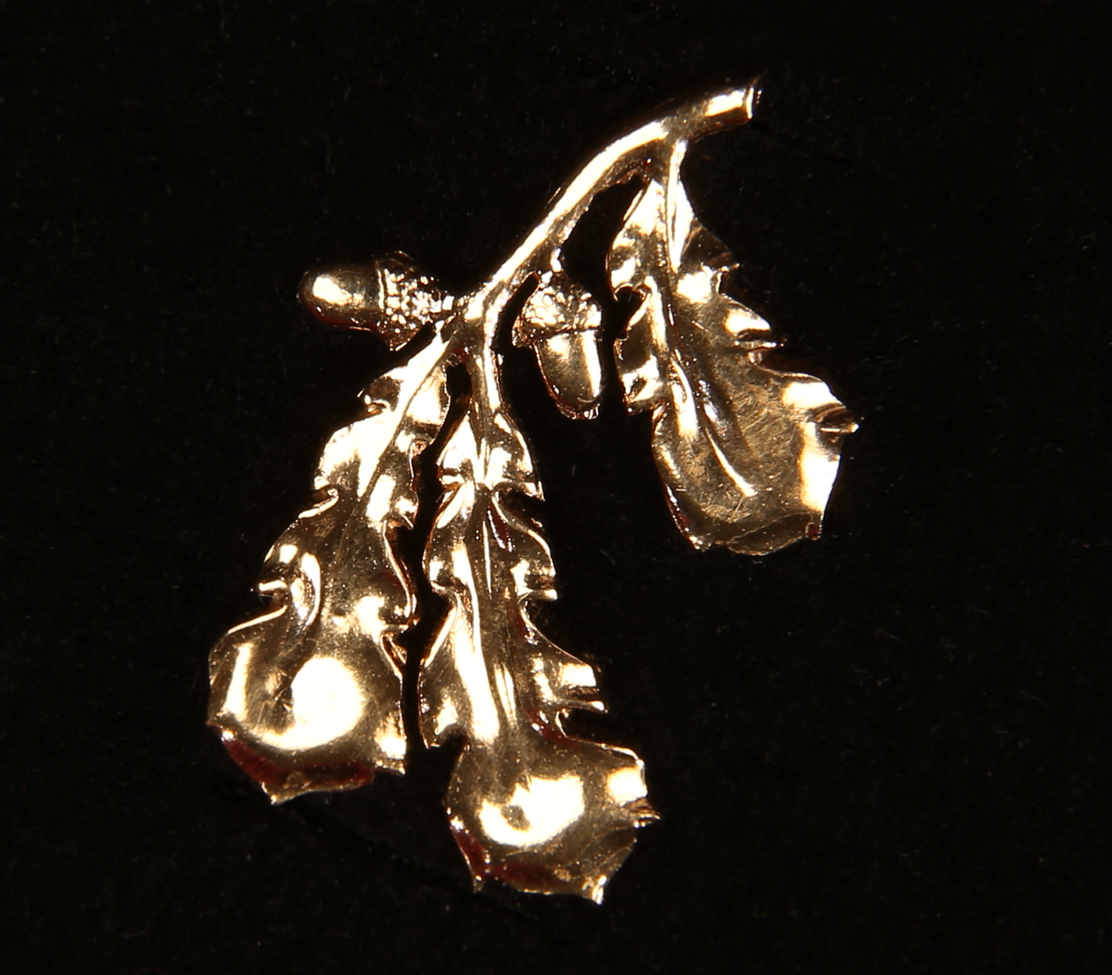 Ootame kandidaate teenetemärgile Tartumaa
Kuldne Tammeoks